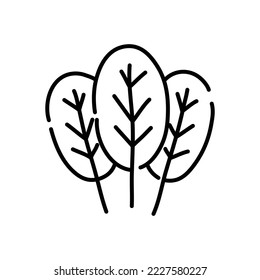 Spinach doodle icon. Hand drawn black sketch. Vector Illustration.