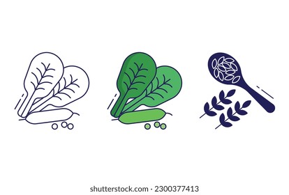 Spinach, edamame line and solid illustration icon