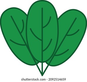 Spinach Filled Outline Icon Vegetable Vector