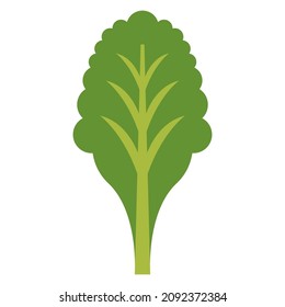 spinach flat clipart vector illustration