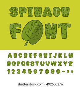 Spinach font. Useful Herbs alphabet. Green lettuce leaves alphabet. Sports, dietetic food typography. Grass letters
