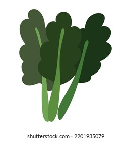 icono de espinaca fresca vegetal aislado