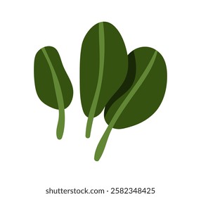 Spinach greens, fresh healthy leafy food. Natural leaf ingredient, seasoning, vitamin condiment. Organic nutrition, leaves for salads, cooking. Flat vector illustration isolated on white background