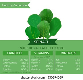 Spinach health benefits. Vector illustration with useful nutritional facts. Essential vitamins and minerals in healthy food. Medical, healthcare and dietory concept.