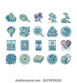 Spinach Healthy Eatery Ingredient doodle icons set vector. Spinach Soup Spaghetti, Pasta Pie. Natural Vitamin Ingredient Canned In Plastic Box. Frozen Raw Leaves  sketch hand drawn