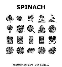 Spinach Healthy Eatery Ingredient Icons Set Vector. Spinach Soup And Spaghetti, Pasta And Pie. Natural Vitamin Ingredient Canned In Plastic Box. Frozen Raw Leaves Glyph Pictograms Black Illustrations