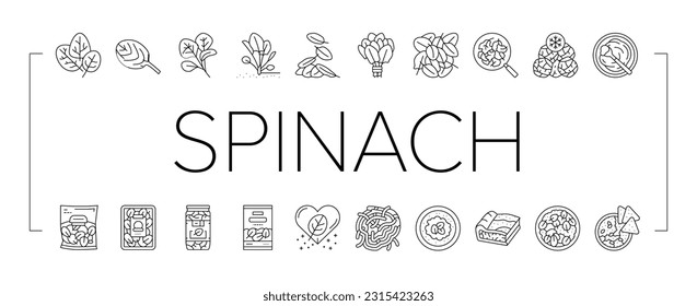 Spinach Healthy Eatery Ingredient Icons Set Vector. Spinach Soup And Spaghetti, Pasta And Pie. Natural Vitamin Ingredient Canned And In Plastic Box. Frozen And Raw Leaves Black Contour Illustrations