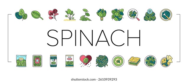 Spinach Healthy Eatery Ingredient Icons Set Vector. Spinach Soup And Spaghetti, Pasta And Pie. Natural Vitamin Ingredient Canned And In Plastic Box. Frozen And Raw Leaves Color Illustrations