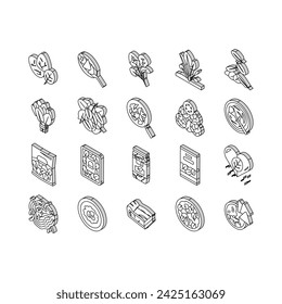 Spinach Healthy Eatery Ingredient isometric icons set. Spinach Soup And Spaghetti, Pasta And Pie. Natural Vitamin Ingredient Canned And In Plastic Box. Frozen And Raw Leaves Color