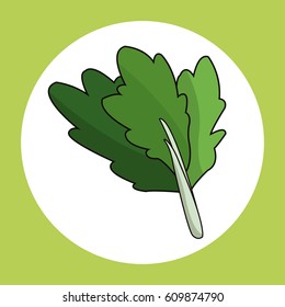 spinach healthy fresh image