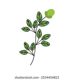 Spinach herb icon, green tree
