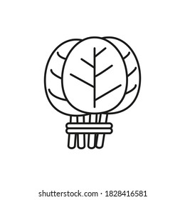 spinach icon element of vegetables icon for mobile concept and web apps. Thin line spinach icon can be used for web and mobile. Premium icon on white background