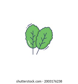 Icono de espinaca aislado en fondo blanco 