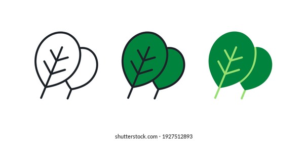 Spinat-Symbol. Lineares Farbsymbol, Kontur, Form, Umriss einzeln auf Weiß. dünn. Modernes Design. Vektorset. Illustrationen von Gemüse.