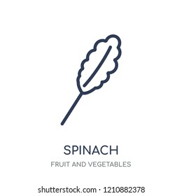 Spinach icon. Spinach linear symbol design from Fruit and vegetables collection. Simple outline element vector illustration on white background.