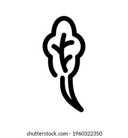 spinach icon or logo isolated sign symbol vector illustration - high quality black style vector icons

