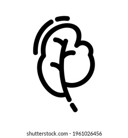 spinach icon or logo isolated sign symbol vector illustration - high quality black style vector icons

