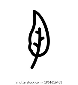 spinach icon or logo isolated sign symbol vector illustration - high quality black style vector icons
