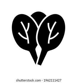 spinach icon or logo isolated sign symbol vector illustration - high quality black style vector icons
