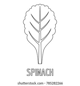 Spinach icon. Outline illustration of spinach vector icon for web