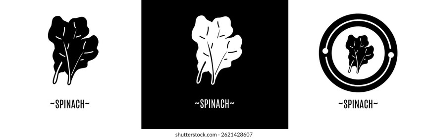 Spinach icon set. Collection icon. Stock vector.