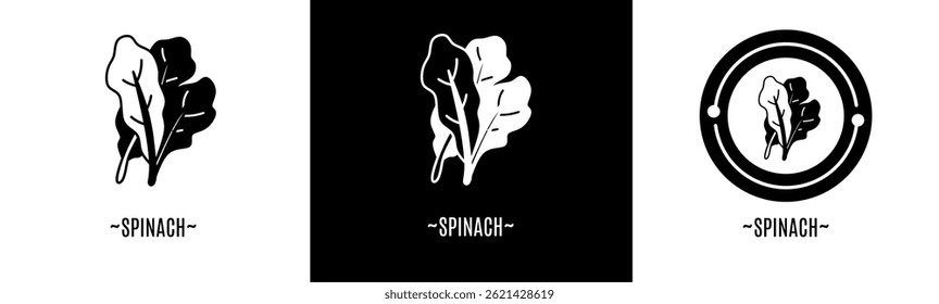 Spinach icon set. Collection icon. Stock vector.