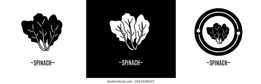 Spinach icon set. Collection icon. Stock vector.