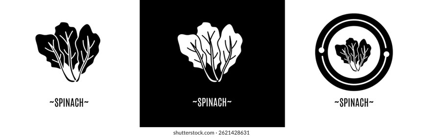 Spinat-Symbolsatz. Sammlungssymbol. Stock-Vektor.