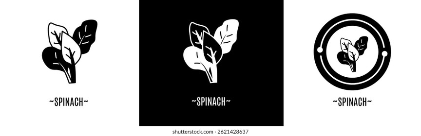 Conjunto de iconos de espinacas. Icono de colección. Vector de acciones.