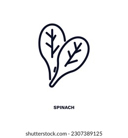 spinach icon. Thin line spinach icon from vegetables and fruits collection. Outline vector isolated on white background. Editable spinach symbol can be used web and mobile