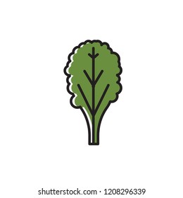 spinach icon vector. filled outline style vegetable icon