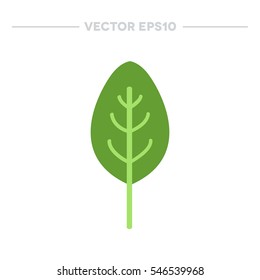 Spinach Icon. Vector Illustration