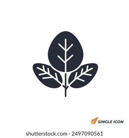 Spinach icon vector illustration. Spinach symbol isolated on white background