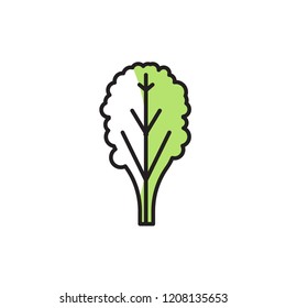 spinach icon vector. modern style vegetable icon