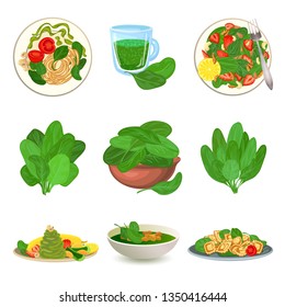 Spinach Icons Set. Cartoon Set Of Spinach Vector Icons For Web Design