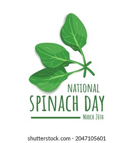 spinach illustration vector image EPS 10