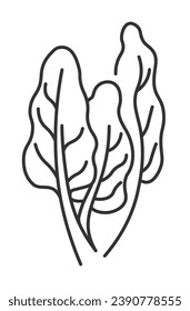 Spinach ingredient for cooking salads and dishes. Drawing of leaves and stems, ecologically grown and natural products for eating and dieting. Isolated monochrome outline icon. Vector in flat style