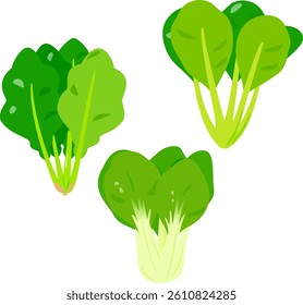 Spinach, Japanese mustard spinach, Chinese cabbage, green vegetables