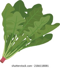 Spinach is known as a representative existence of green and yellow vegetables whose stems and leaves are edible.