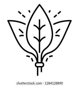 Spinach leaf branch icon. Outline spinach leaf branch vector icon for web design isolated on white background
