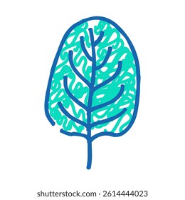 spinach leaf doodle icon sketch vector. spinach leaf sign. isolated symbol illustration