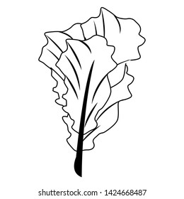 Spinach leaf fresh vegetable healthy food vector illustration graphic design
