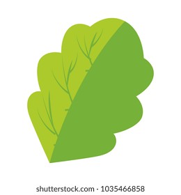 spinach leaf icon