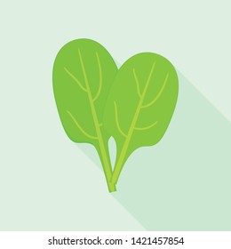 Spinach leaf icon. Flat illustration of spinach leaf vector icon for web design