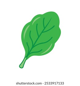 Ilustración vectorial de icono de hoja de espinaca