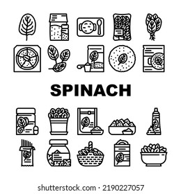 spinach leaf salad green food icons set vector. fresh plant baby, leaves vegetable, organic bunch, lettuce pile healthy raw spinach leaf salad green food black contour illustrations