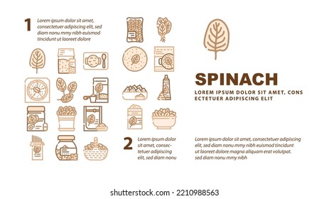 spinach leaf salad green food landing web page header vector. fresh plant baby, leaves vegetable, organic bunch, lettuce pile healthy raw spinach leaf salad green food Illustration