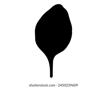 Spinach leaf silhouette vector art