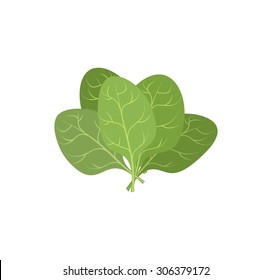 Spinach leaves. Bunch of green plants.  illustration of Veggie plant