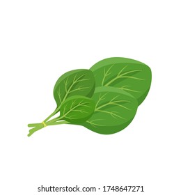 Spinach leaves cartoon vector illustration. Leafy green vegetable flat color object. Source of nutrients and antioxidants. Culinary ingredient. Healthy food product isolated on white background